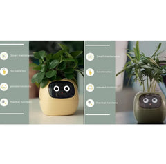 Smart Sensors And AI Chips Make Raising Plants